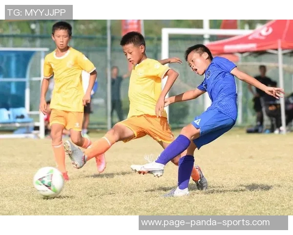 中国足球未来之星培养计划助力青少年成才与国家队崛起