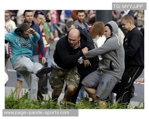 英国足球流氓文化的兴起与衰退对社会的影响与反思